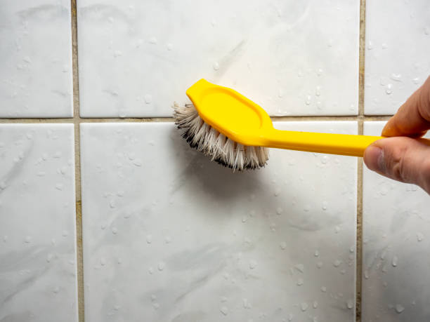 Best Health and Safety Mold Remediation in Gwinn, MI