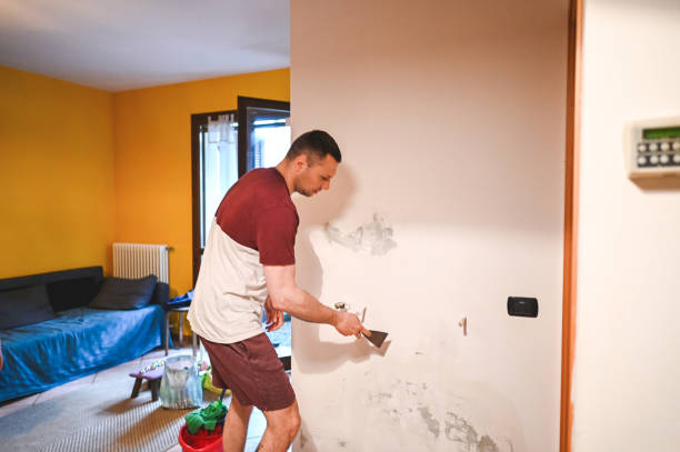 Best Kitchen Mold Remediation in Gwinn, MI